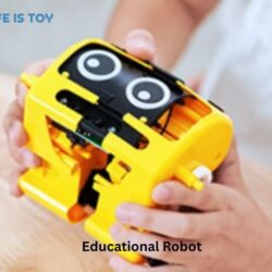 Educational Robot (1)