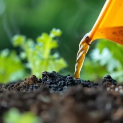 Fertilizers And Soil Amendments For Healthy Growing Success (1)