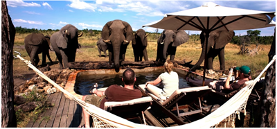Luxury Safari Tours with Comfort Luxury Safari Tours with Comfort