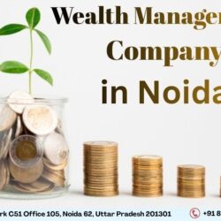 Wealth management company in Noida (2)