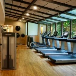 Online Fat Loss Coach