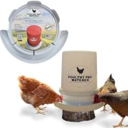 Large Chicken Waterer (1)