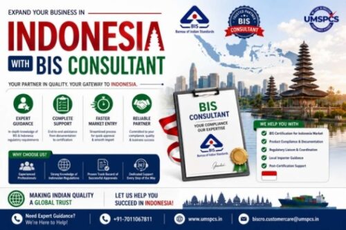 BIS consultancy services in Indonesia (1) (2) BIS consultancy services in Indonesia (1) (2)