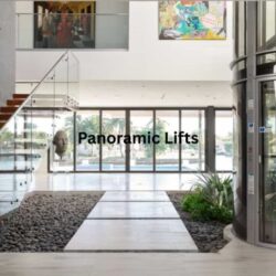Panoramic Lifts (2)