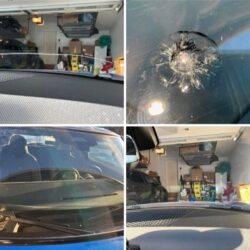 Windshield