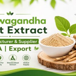 Ashwagandha Root Extract Manufacturer & Supplier USA - Export