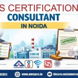 BIS Certification Conslutant Noida (2)