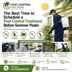 The Best Time to Schedule a Pest
