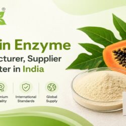Papain Enzyme Manufacturer, Supplier & Exporter in India