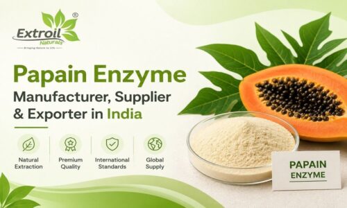 Papain Enzyme Manufacturer, Supplier & Exporter in India Papain Enzyme Manufacturer, Supplier & Exporter in India