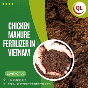 chicken manure fertilizer in vietnam chicken manure fertilizer in vietnam