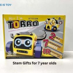 Stem Gifts for 7 year olds (13)