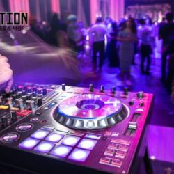 Premium St Louis Wedding DJ for Fun