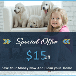 Carpet-Cleaning-Kemah