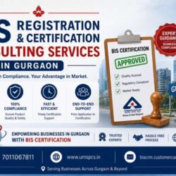BIS certification consulting services in Gurgaon (2)