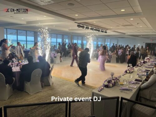 Private event DJ (12) Private event DJ (12)