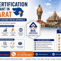 BIS Certification Consultant in Gujarat