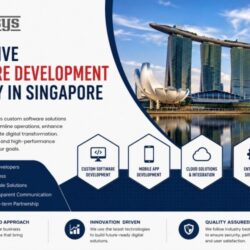 Software Development Company in Singapore