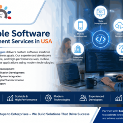 software development services (1)