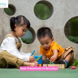 Best Preschools In Brooklyn (3)
