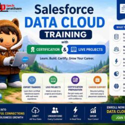 Salesforce Data Cloud Training with Certification and Live Projects