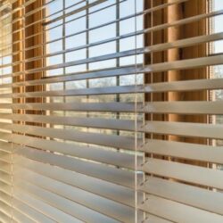 blinds