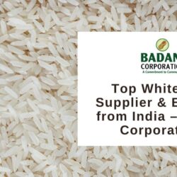 Top White Rice Supplier & Exporter from India