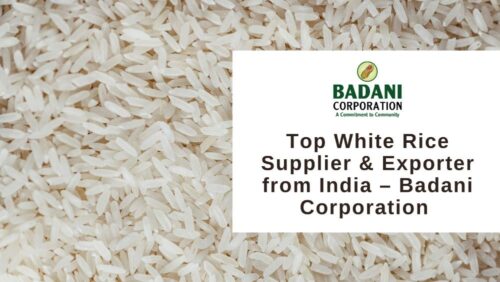 Top White Rice Supplier & Exporter from India Top White Rice Supplier & Exporter from India