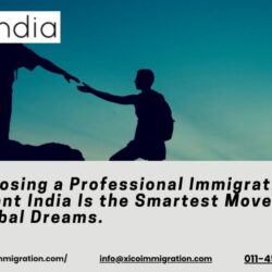 Why Xico India Immigration Consultant (62)