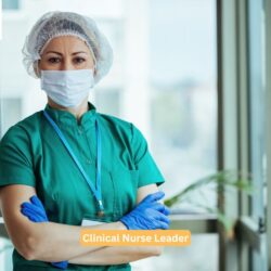 Clinical Nurse Leader (2)