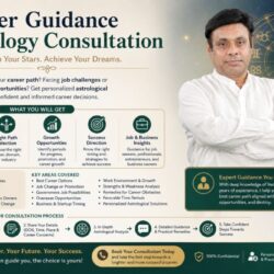 Career guidance astrology consultation 1