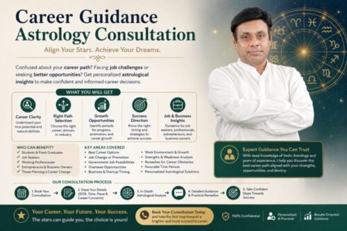 Career guidance astrology consultation 1 Career guidance astrology consultation 1