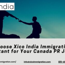 Why Xico India Immigration Consultant (73)