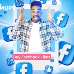 Buy Facebook Likes (2)