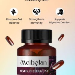 Probiotics Supplements for Better Gut Wellness