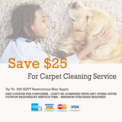 Carpet-Cleaning-Humble-Texas