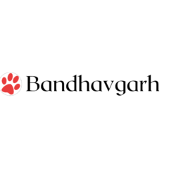 Bandhavgarh_log