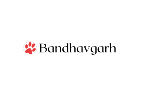 Bandhavgarh_log Bandhavgarh_log