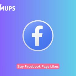 Buy Facebook Page Likes