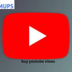 buy youtube views