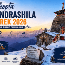 Chopta Chandrashila Trek 2026