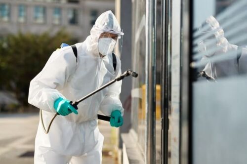 pest-fumigation pest-fumigation