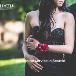 Limousine Service in Seattle (1)