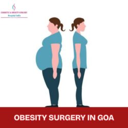 Obesity Surgery in Goa