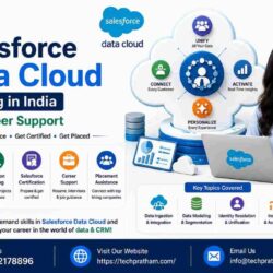 Salesforce Data Cloud Training in India with Career Support