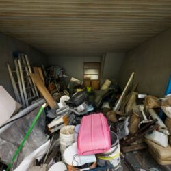 Junk Removal Servicess