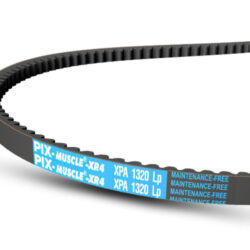 Muscle20XR420belts