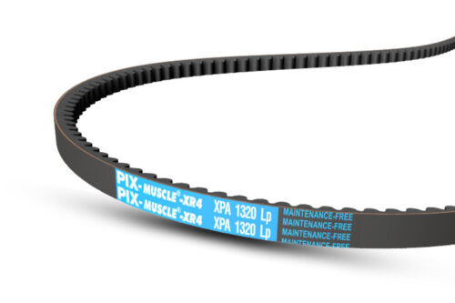Muscle20XR420belts Muscle20XR420belts