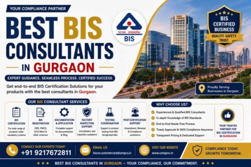 Best BIS Consultants in Gurgaon Best BIS Consultants in Gurgaon