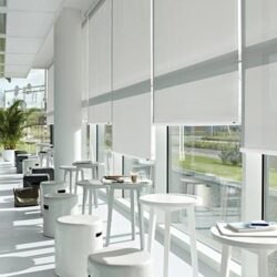 Sunscreen Roller Blinds -springdecordubai